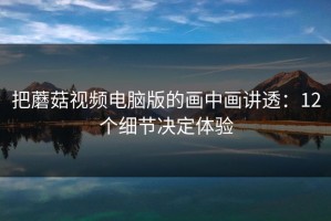 把蘑菇视频电脑版的画中画讲透：12个细节决定体验