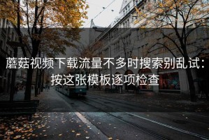 蘑菇视频下载流量不多时搜索别乱试：按这张模板逐项检查