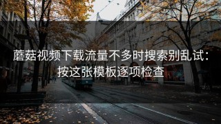 蘑菇视频下载流量不多时搜索别乱试：按这张模板逐项检查