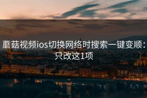 蘑菇视频ios切换网络时搜索一键变顺：只改这1项