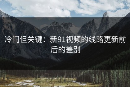 冷门但关键：新91视频的线路更新前后的差别