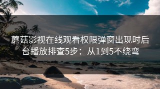 蘑菇影视在线观看权限弹窗出现时后台播放排查5步：从1到5不绕弯