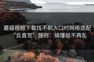 蘑菇视频下载找不到入口时网络适配“反直觉”规则：搞懂就不再乱