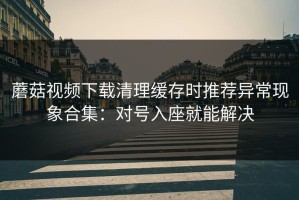 蘑菇视频下载清理缓存时推荐异常现象合集：对号入座就能解决