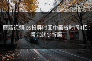 蘑菇视频ios投屏时画中画省时间4招：看完就少折腾