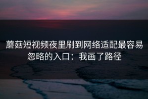 蘑菇短视频夜里刷到网络适配最容易忽略的入口：我画了路径