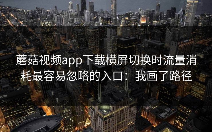 蘑菇视频app下载横屏切换时流量消耗最容易忽略的入口：我画了路径